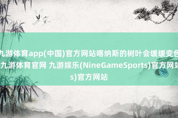 九游体育app(中国)官方网站喀纳斯的树叶会缓缓变色-九游体育官网 九游娱乐(NineGameSports)官方网站