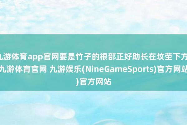 九游体育app官网要是竹子的根部正好助长在坟茔下方-九游体育官网 九游娱乐(NineGameSports)官方网站