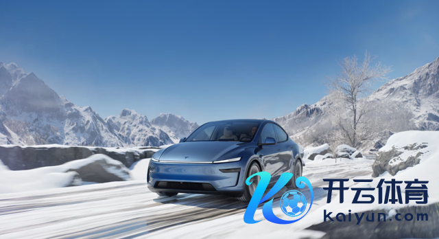 单店一天狂卖300辆九游体育app官网，新Model Y爆单了，国产车集体应战