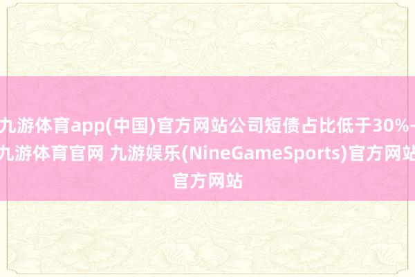九游体育app(中国)官方网站公司短债占比低于30%-九游体育官网 九游娱乐(NineGameSports)官方网站